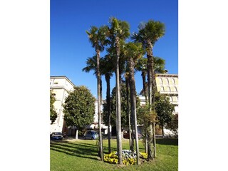 Appartamento Pallanza Registrazione all'aperto 5