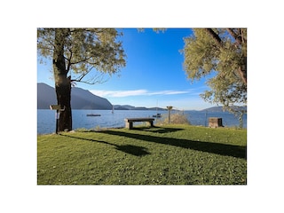 Öffentliche Liegewiese direkt am See (neben Strand & Snack-Bar)