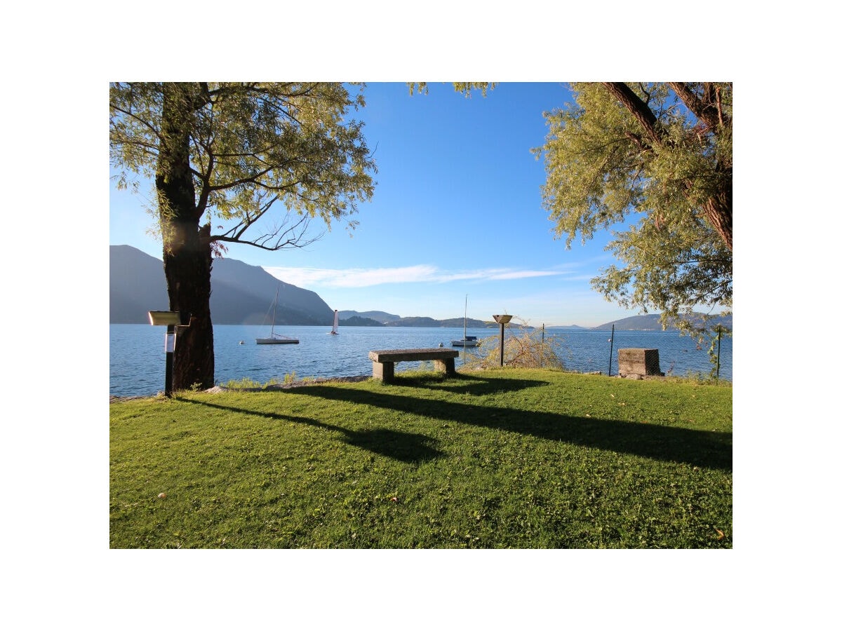 Öffentliche Liegewiese direkt am See (neben Strand & Snack-Bar)