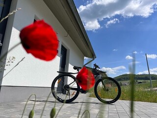 Casa de vacaciones Diemelsee Grabación al aire libre 12