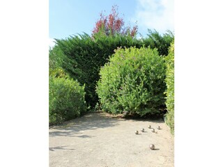 Casa per le vacanze La Croix-Valmer Registrazione all'aperto 11