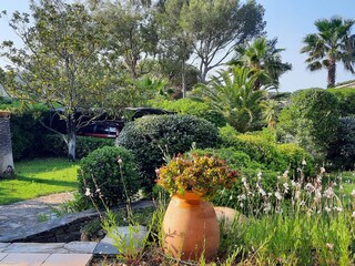 View towards the carport
