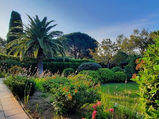 View from the terrace