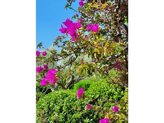 Casa per le vacanze La Croix-Valmer Registrazione all'aperto 19