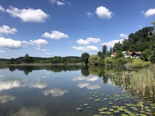 Rundgang am Klostersse