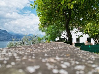 Appartamento per vacanze Brenzone sul Garda Registrazione all'aperto 8