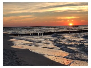 Ferienhaus Prerow Umgebung 15