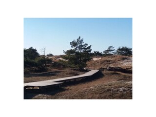 Ferienhaus Prerow Umgebung 16