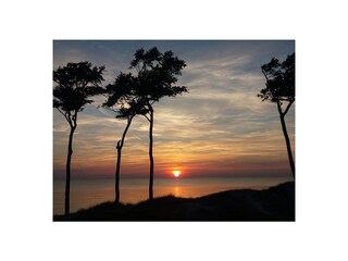 Ferienhaus Prerow Umgebung 19