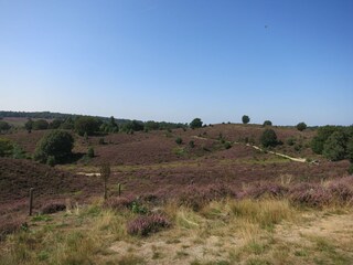 Chalet Olburgen Ambiente 27