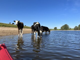 Chalet Olburgen Ambiente 23