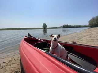 Chalet Olburgen Ambiente 34