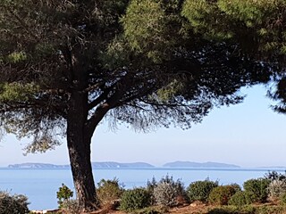 Maison de vacances La Croix-Valmer Environnement 17