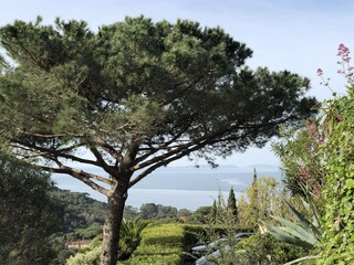 Maison de vacances La Croix-Valmer Enregistrement extérieur 1