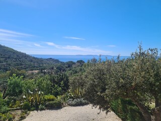 Casa per le vacanze La Croix-Valmer Registrazione all'aperto 4