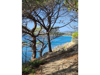 Casa de vacaciones La Croix-Valmer Entorno 20