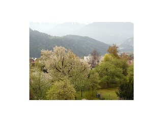 Aussicht Panoramappartm. Nr. 1;3;4;6;7;