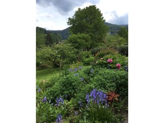 Im Garten