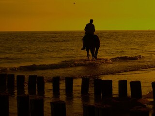 Bungalow Zoutelande Ambiente 13