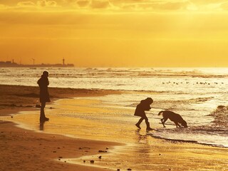 Vakantiehuis Noordwijk Omgeving 18