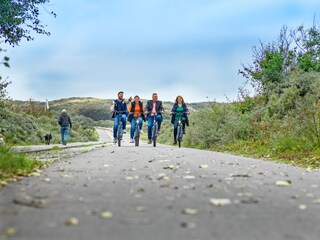 Vakantiehuis Noordwijk Omgeving 19