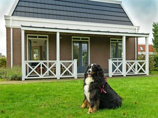 Casa per le vacanze Noordwijk Registrazione all'aperto 4