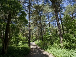 Casa per le vacanze Noordwijk Ambiente 18