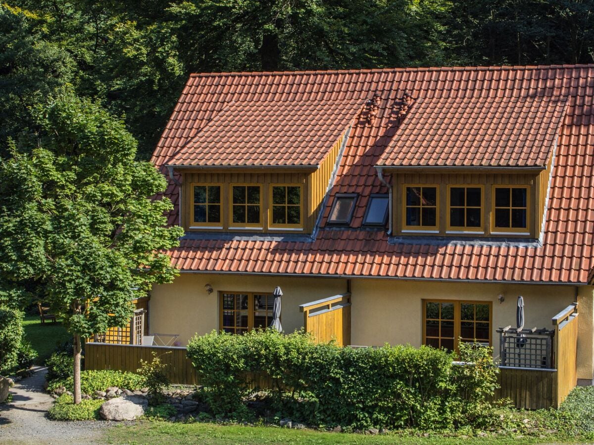 Ferienwohnung Ilsenburg Außenaufnahme 1