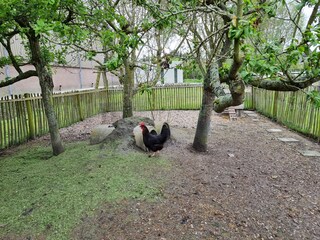 Appartamento per vacanze Oostkapelle Registrazione all'aperto 10