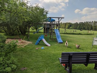 Holiday apartment Monschau Environment 26