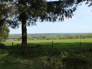 Holiday apartment Monschau Environment 29