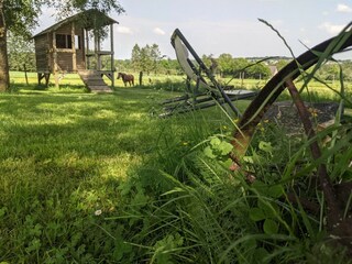 Holiday apartment Monschau Environment 30