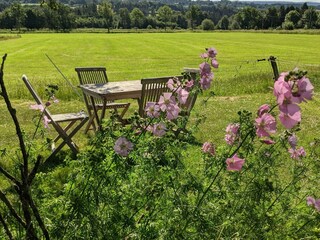 Holiday apartment Monschau Environment 33