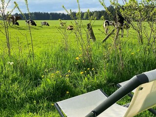 Überall Plätze zu ausspannen und Natur genießen