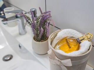 Villa Vodnjan Kenmerken 33