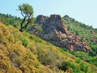 Holiday apartment Le Plan-de-la-Tour Environment 37