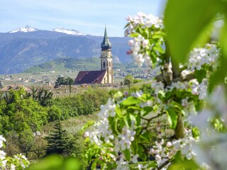 Villa Eppan Ambiente 22