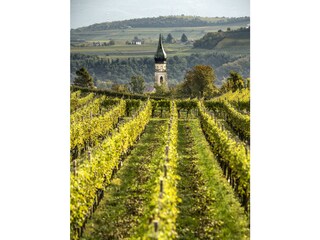 Villa Eppan Ambiente 25