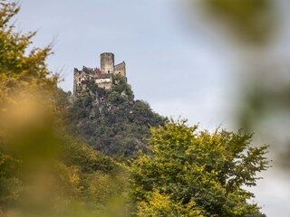 Villa Eppan Ambiente 30