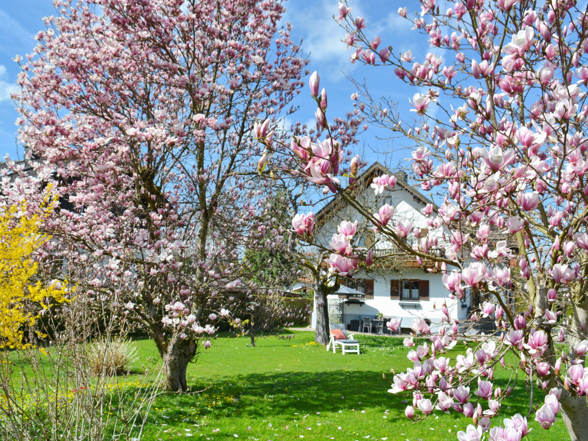 Haus Magnolia Außenansicht