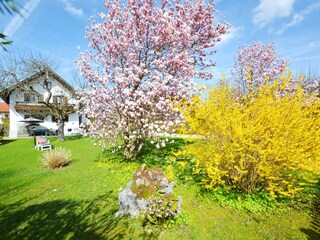 Hausansicht mit großem eingezäuntem Garten