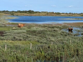 Casa per le vacanze Julianadorp Ambiente 22
