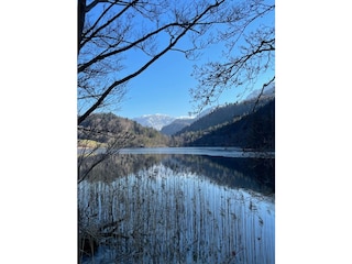 Maison de vacances Bad Reichenhall Environnement 37