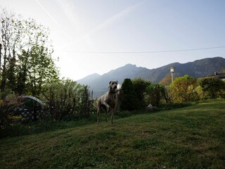 Casa de vacaciones Bad Reichenhall Grabación al aire libre 11
