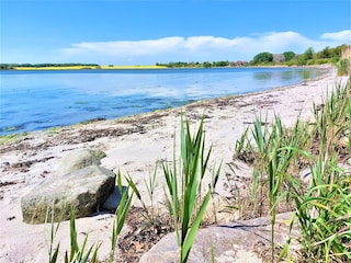 Wormshöfter Noor bei Maasholm an der Schlei