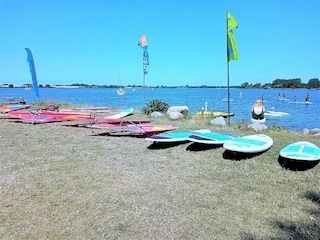 Surfspot in Maasholm an der Schlei Ostsee