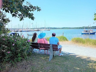 Wormshöfter Noor bei Maasholm an der Schlei Ostsee