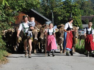 Oberstdorfer Viehscheid