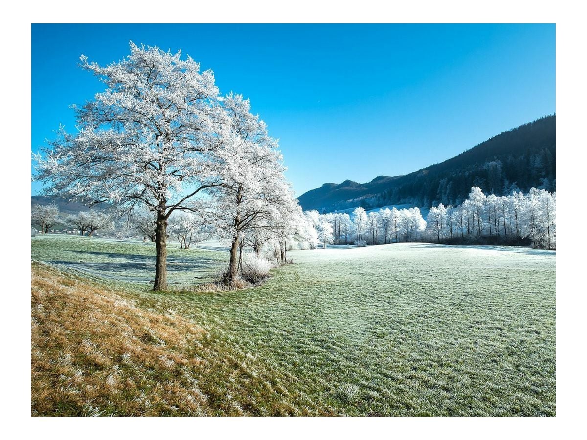 Ferienwohnung Winterberg Außenaufnahme 13