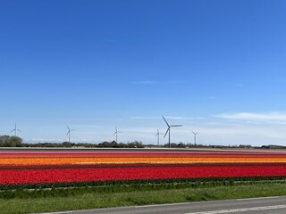 Casa per le vacanze Callantsoog Ambiente 33
